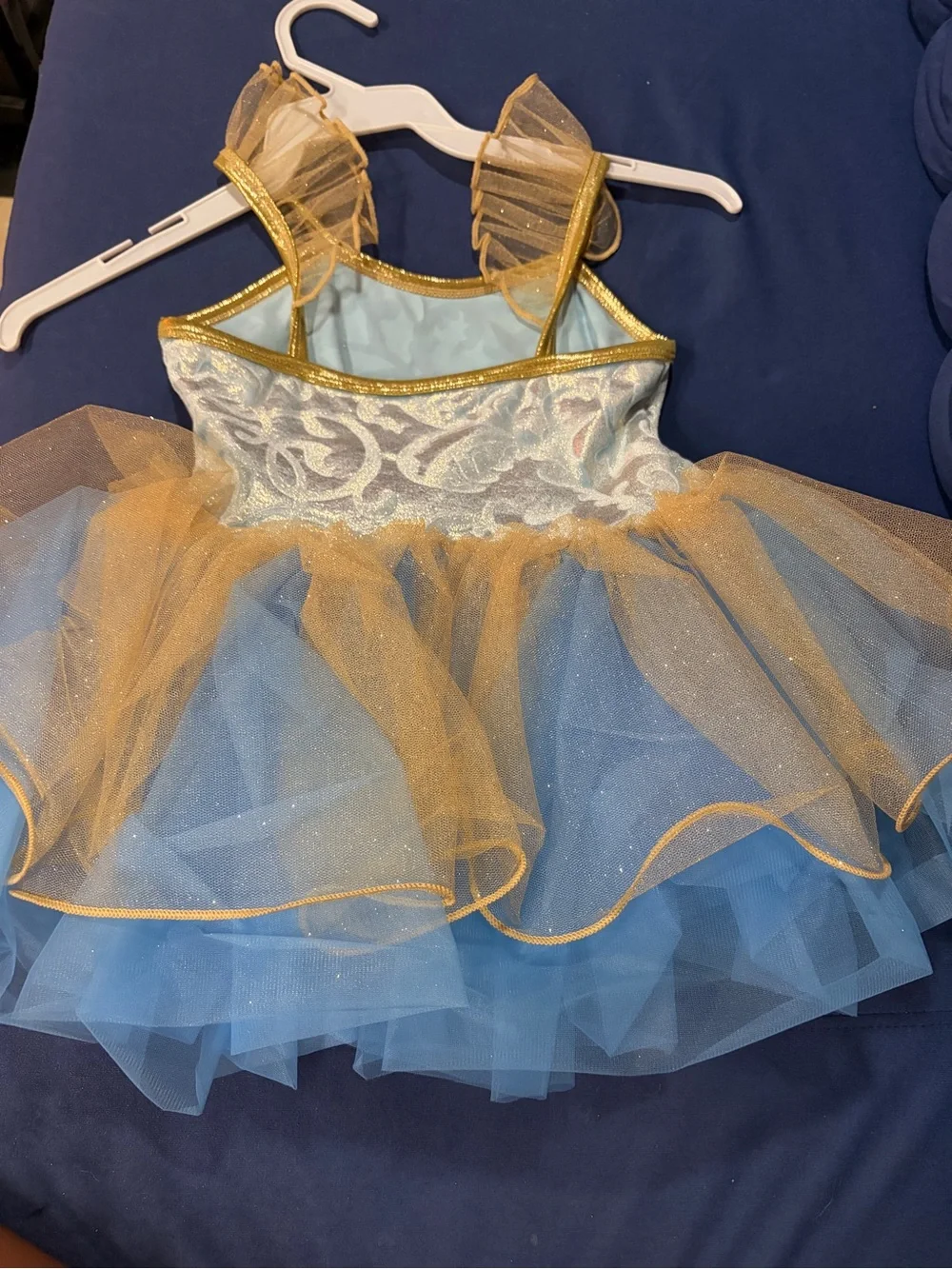 Blue & Gold Tulle Ballet Costume Dress for Kids